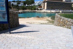 IMG_0281 (Medium)