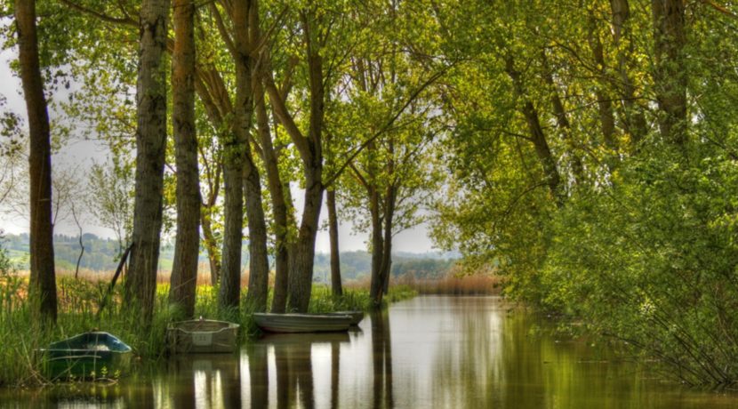 Lago di Montepulciano 2