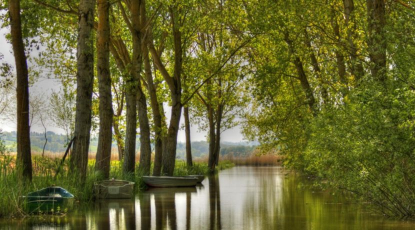 Lago di Montepulciano 2