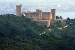 castello-de-bellver-palma-di-maiorca-escursione-di-maiorca-escursioni-5