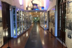 FS_Museo Fondazione Scienza e Tecnica_interno